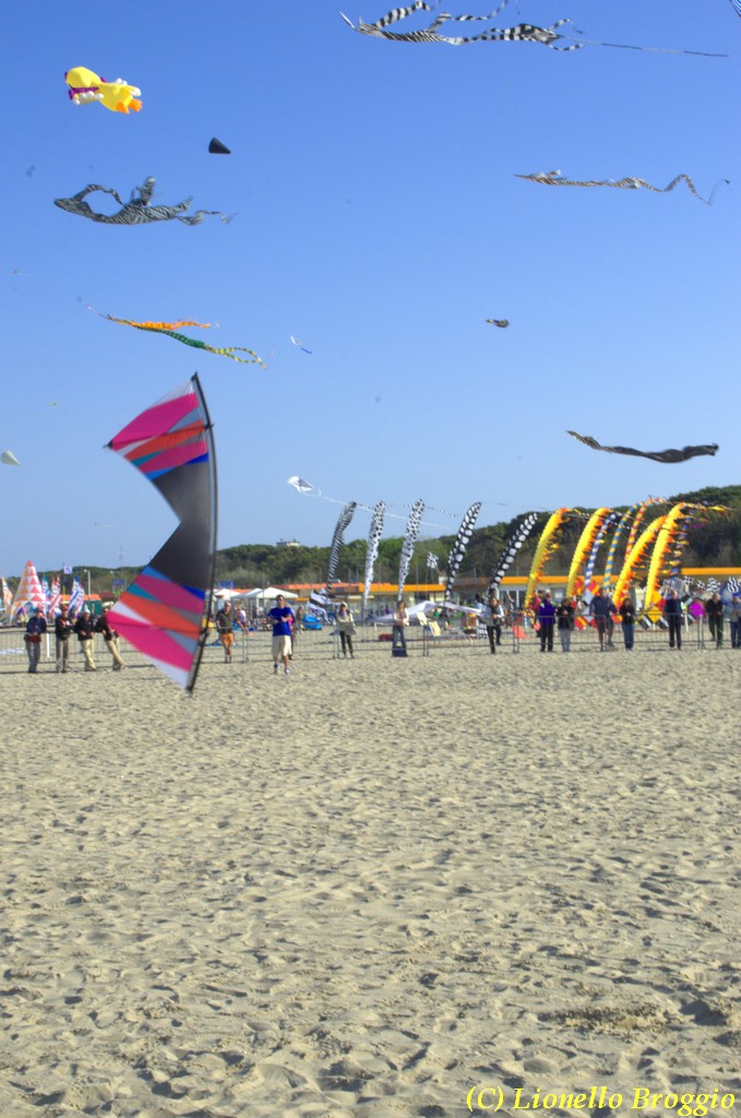 32 FESTIVAL CERVIA 2012 - 114.jpg